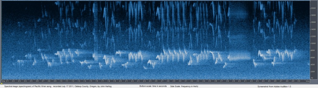 Spectral Image of Pacific Wren song