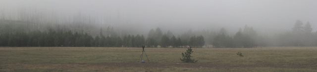 photo:wooden bowl array in the field