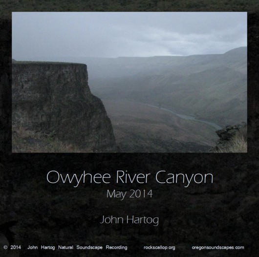 Cover art- image of Owyhee Riverfrom canyon rim.