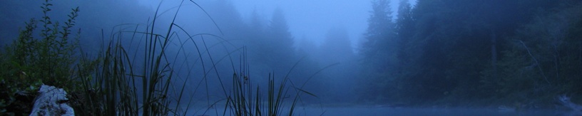 Top Banner: late dusk mist settling on small lake